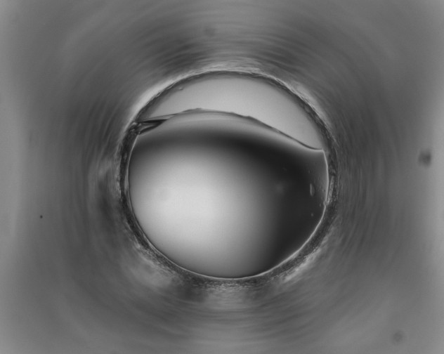 X0000091360830200708171522