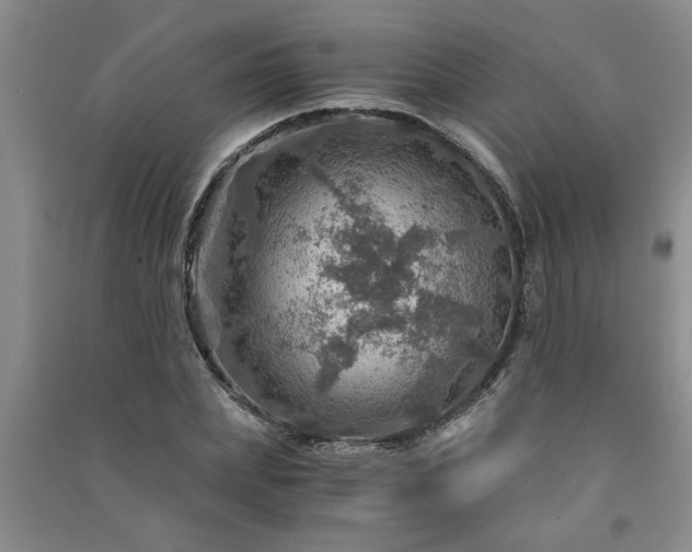 X0000091360831200708171522
