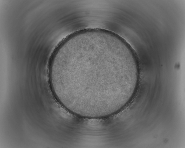 X0000091360832200708171522