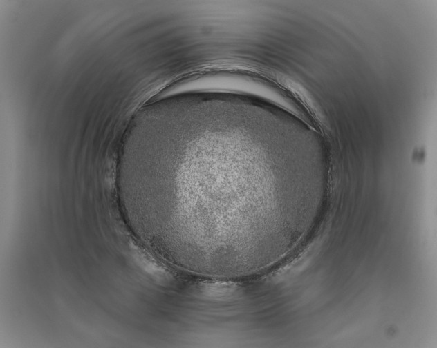 X0000091360833200708171522