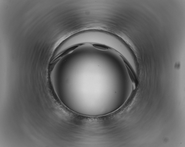 X0000091360834200708171522