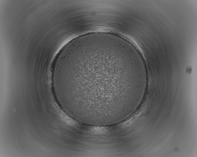 X0000091360835200708171522