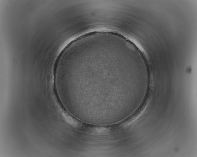 X0000091360837200708171522