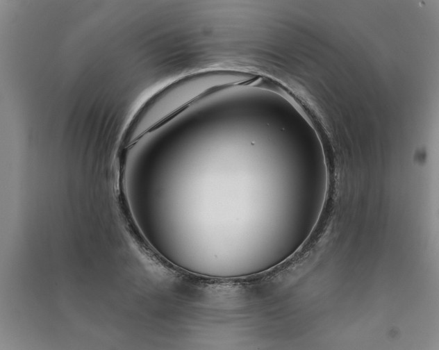 X0000091360838200708171522