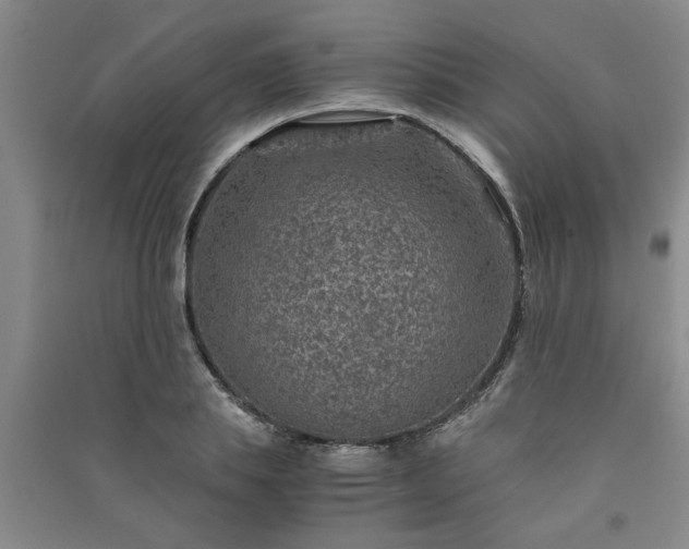 X0000091360839200708171522