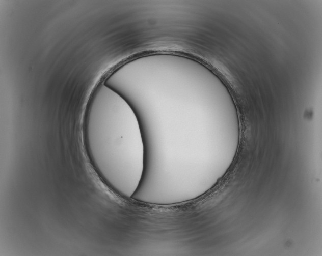 X0000091360840200708171522