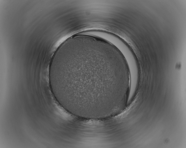 X0000091360842200708171522