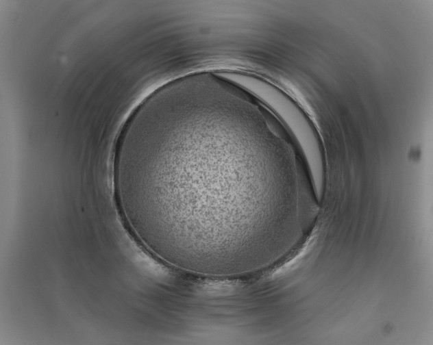 X0000091360843200708171522