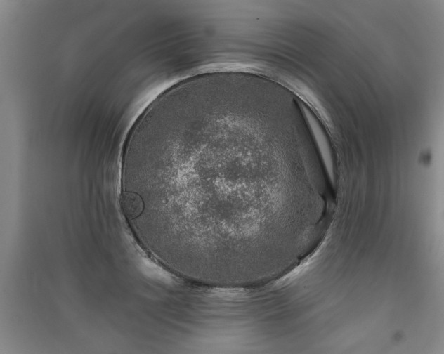 X0000091360844200708171522