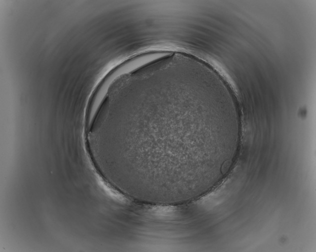X0000091360845200708171522