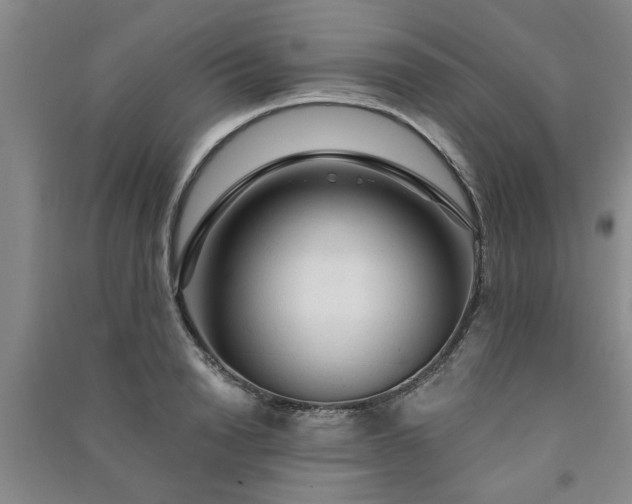 X0000091360846200708171522