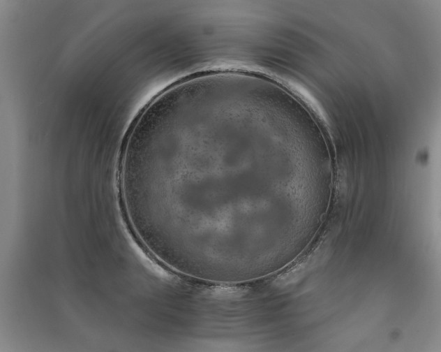 X0000091360847200708171522