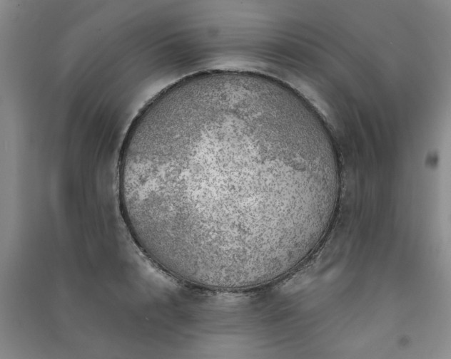 X0000091360848200708171522