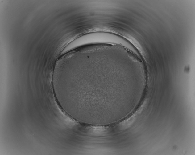 X0000091360849200708171522