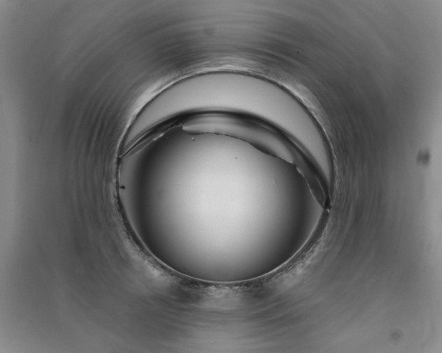 X0000091360850200708171522