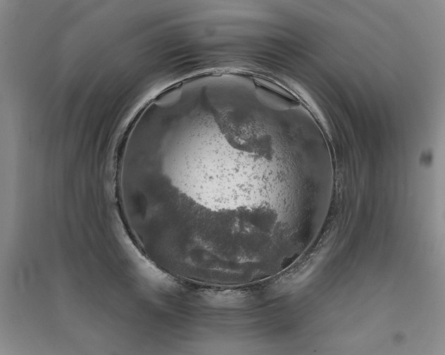 X0000091360851200708171522