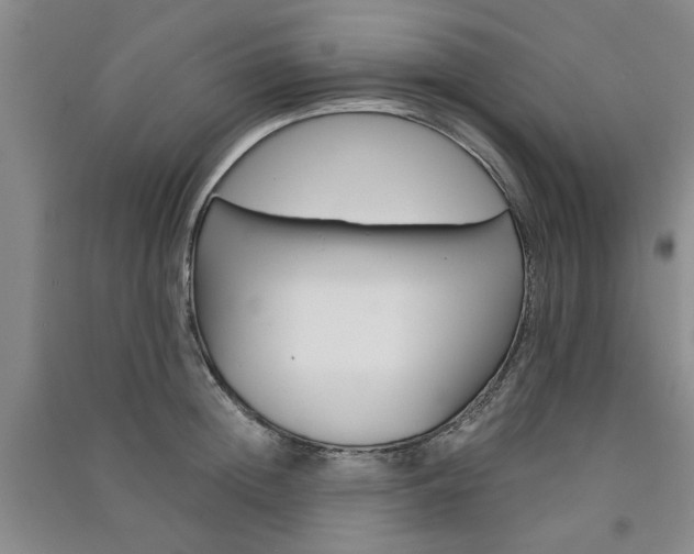 X0000091360852200708171522