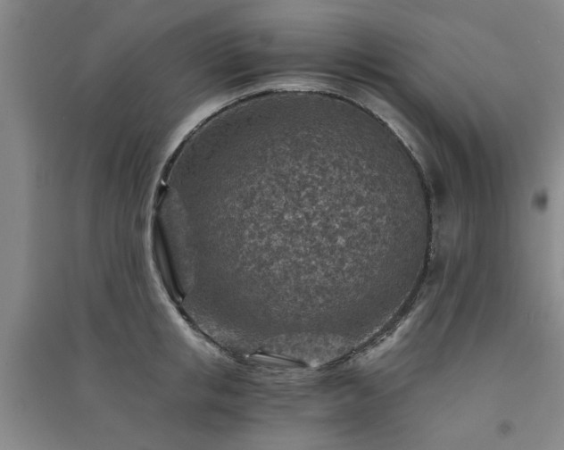 X0000091360853200708171522