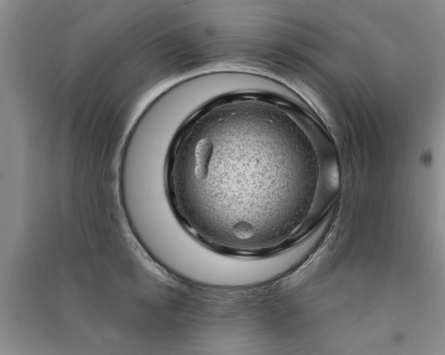X0000091360854200708171522