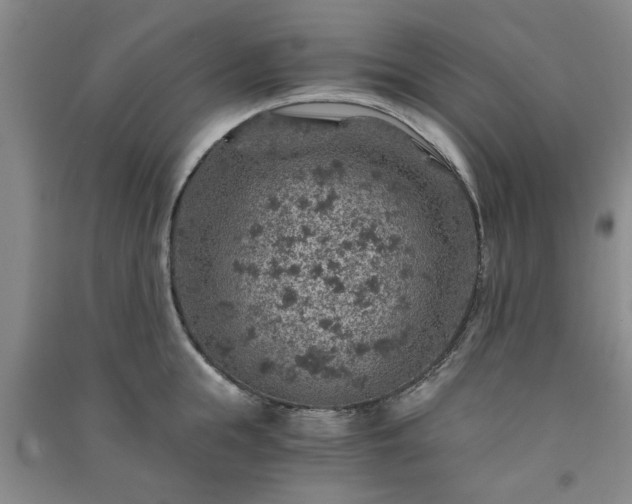 X0000091360855200708171522