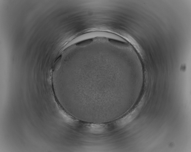 X0000091360857200708171522