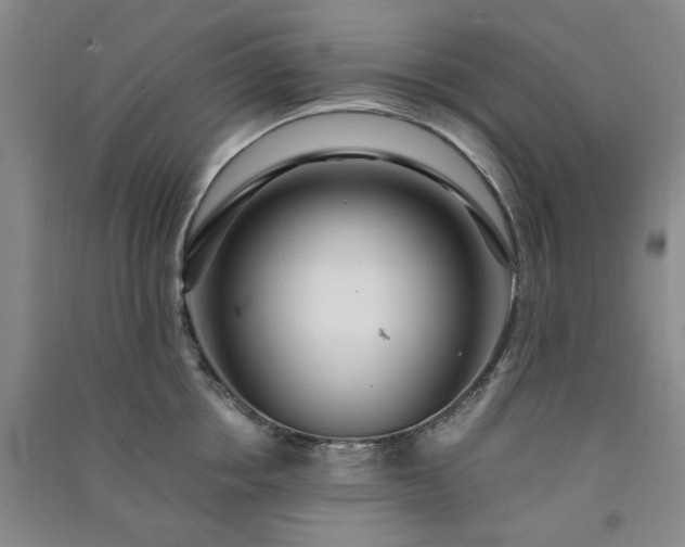 X0000091360858200708171522