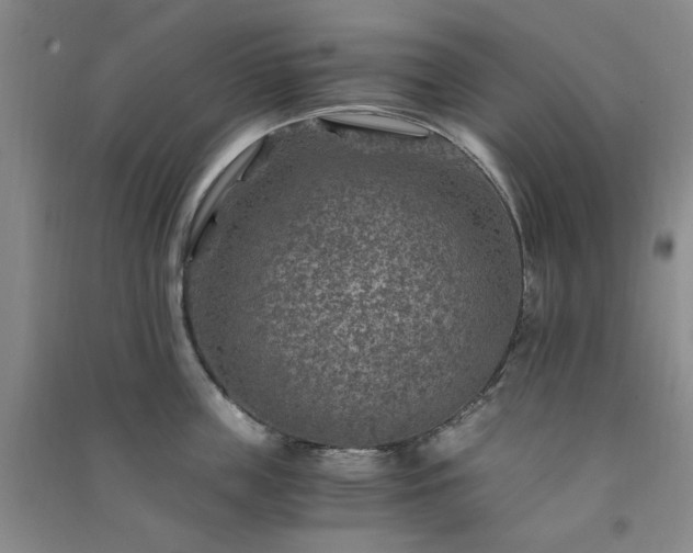 X0000091360859200708171522