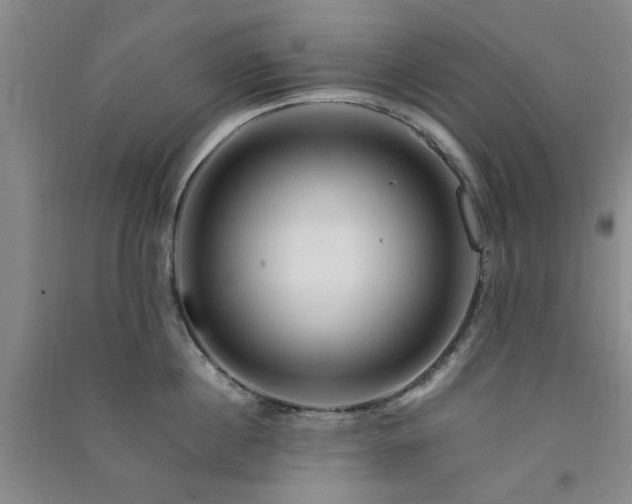 X0000091360860200708171522