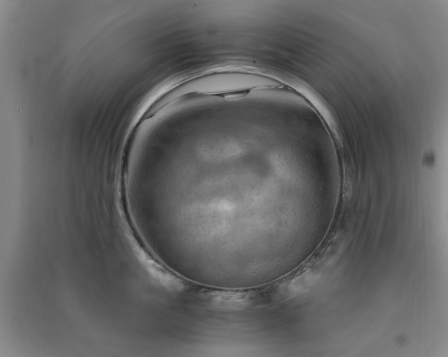 X0000091360861200708171522