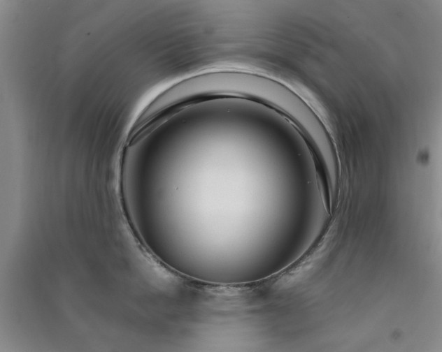 X0000091360862200708171522