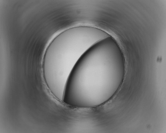 X0000091360864200708171522