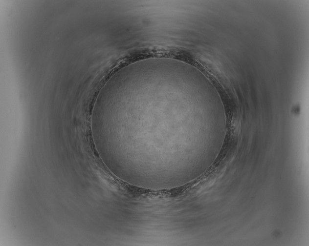 X0000091360865200708171522