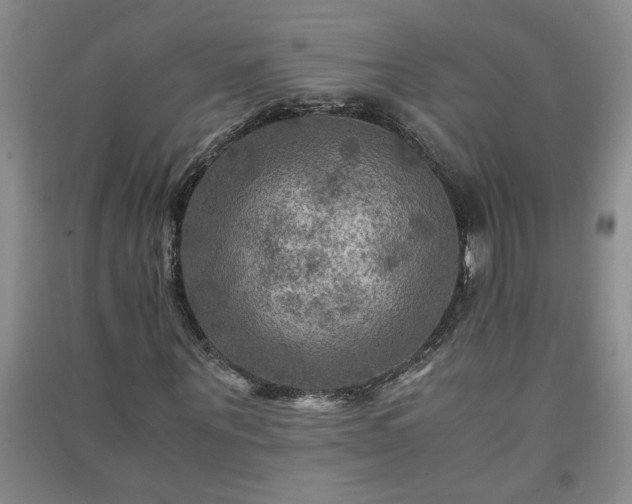 X0000091360867200708171522