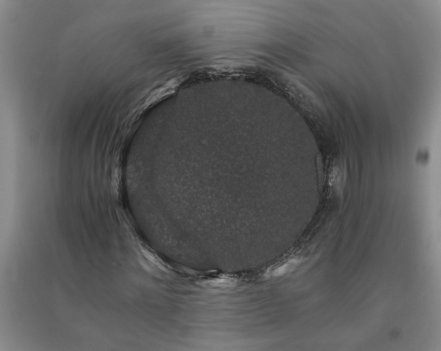 X0000091360868200708171522