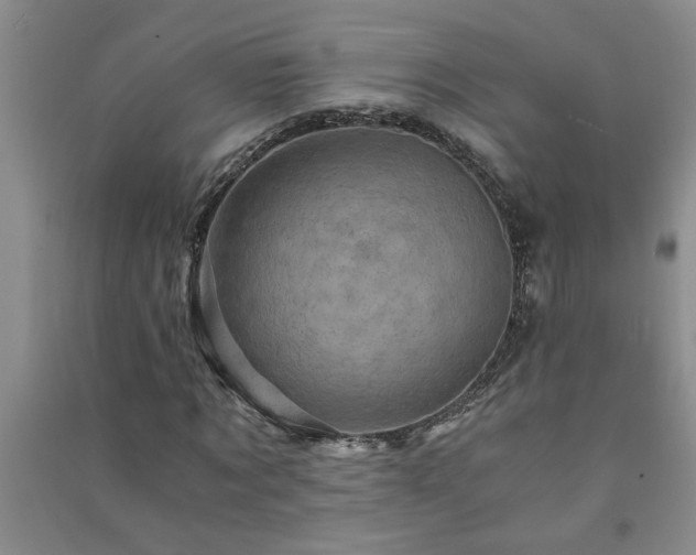X0000091360869200708171522