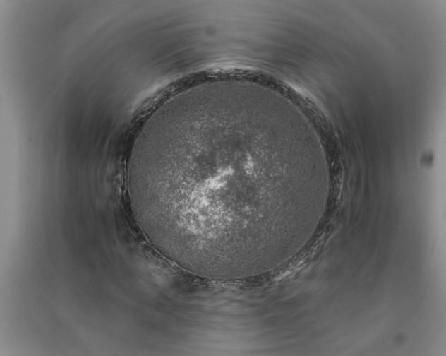 X0000091360870200708171522