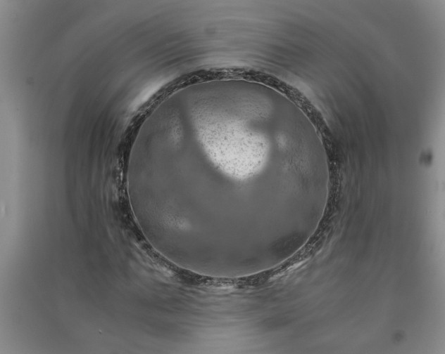 X0000091360871200708171522