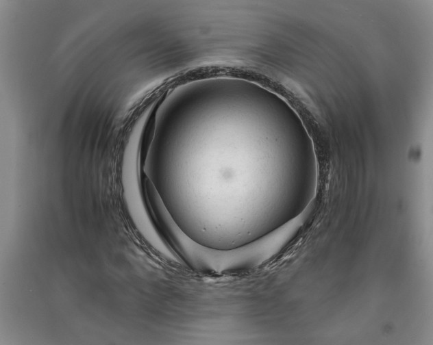 X0000091360872200708171522