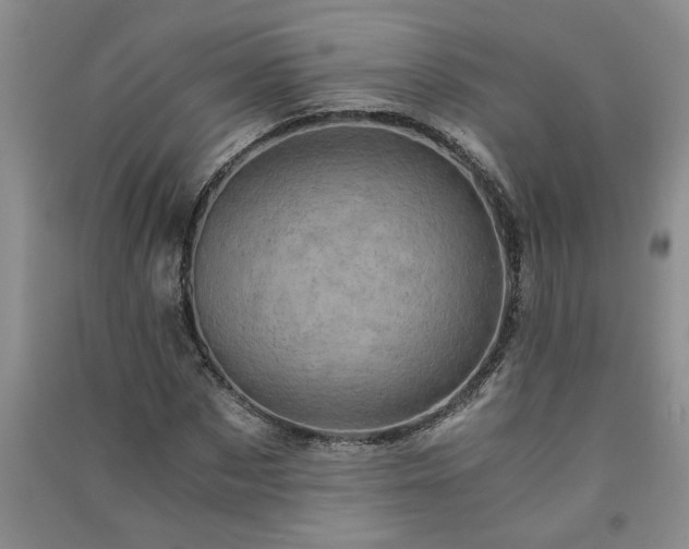 X0000091360873200708171522