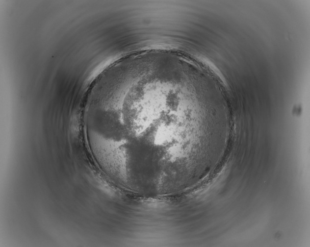 X0000091360874200708171522