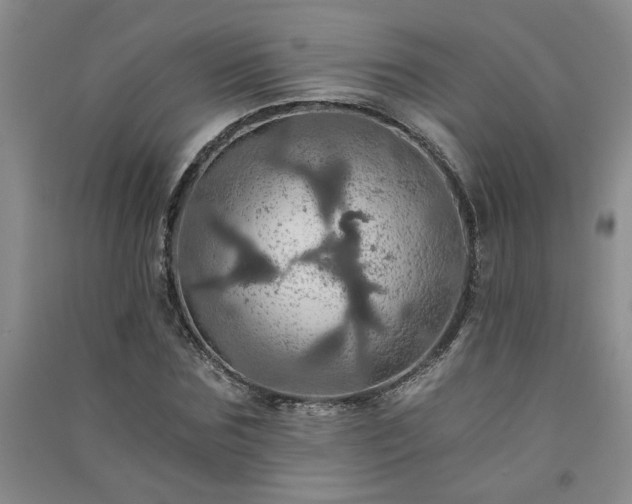 X0000091360875200708171522