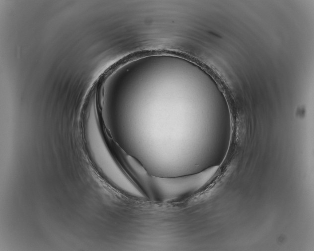 X0000091360876200708171522