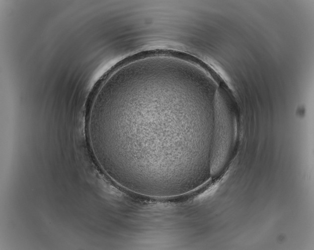 X0000091360877200708171522