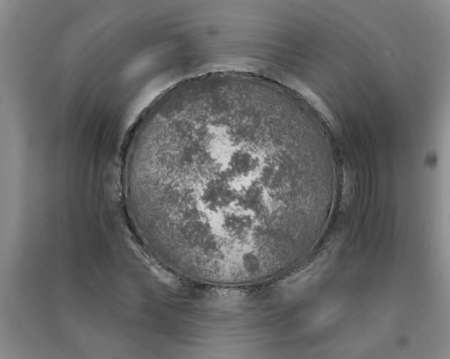 X0000091360878200708171522