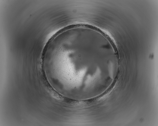 X0000091360879200708171522