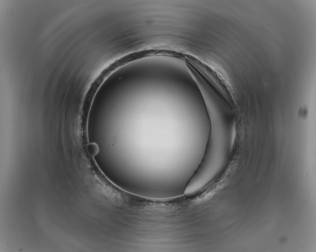 X0000091360880200708171522