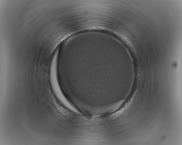 X0000091360881200708171521