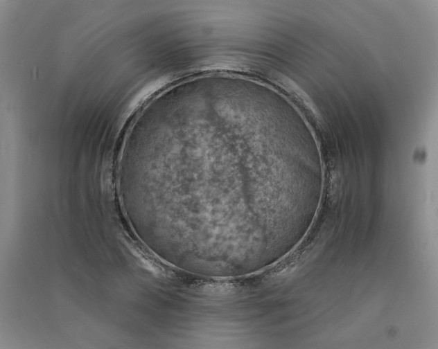 X0000091360882200708171521