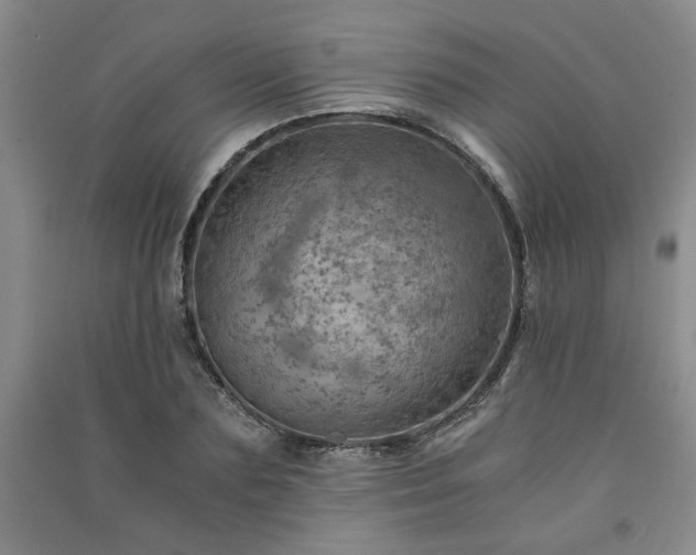 X0000091360883200708171521