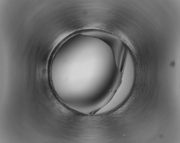 X0000091360884200708171521
